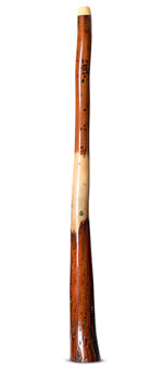 Wix Stix Didgeridoo (WS424)